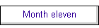 Month eleven