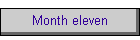 Month eleven
