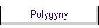 Polygyny